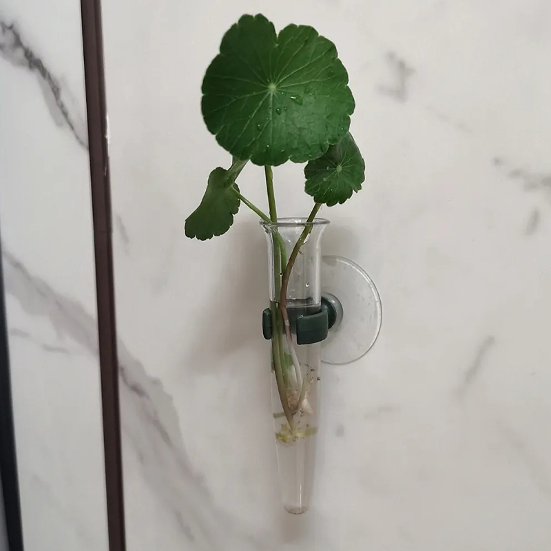 11cm Floral Water Tubes Plasti - Nutrition & Fitness Hub 评论和价格