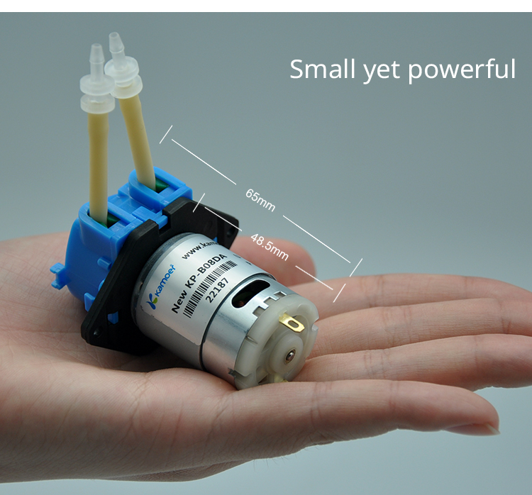 2026 new NKP 6V 12V 24V DC mot - Nutrition & Fitness Hub 评论和价格