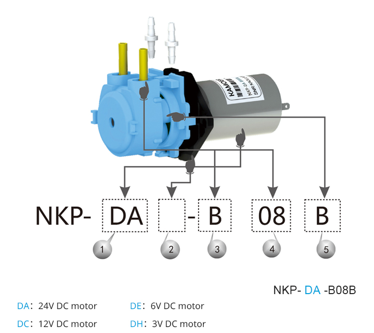 2026 new NKP 6V 12V 24V DC mot - Nutrition & Fitness Hub 评论和价格