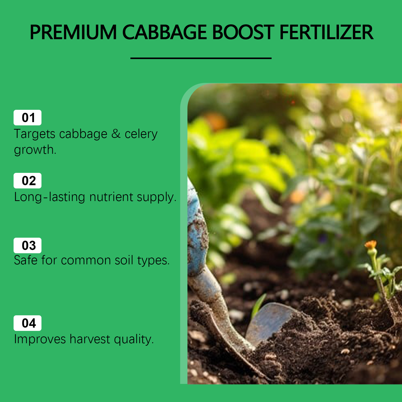 Indoor Outdoor Vegetable Growt - Nutrition & Fitness Hub 评论和价格