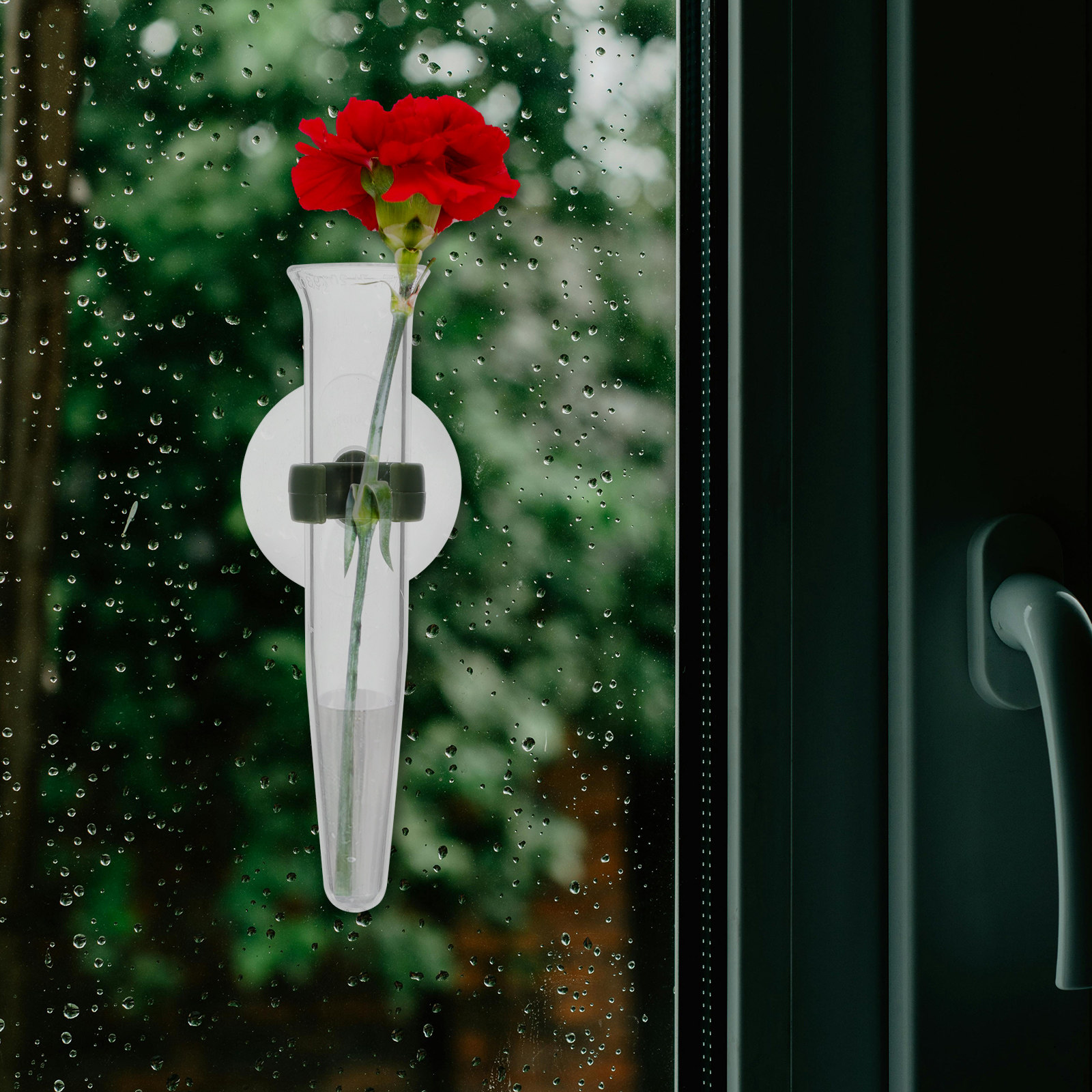 8Pcs Flower Hose Storage Silic - Nutrition & Fitness Hub 评论和价格