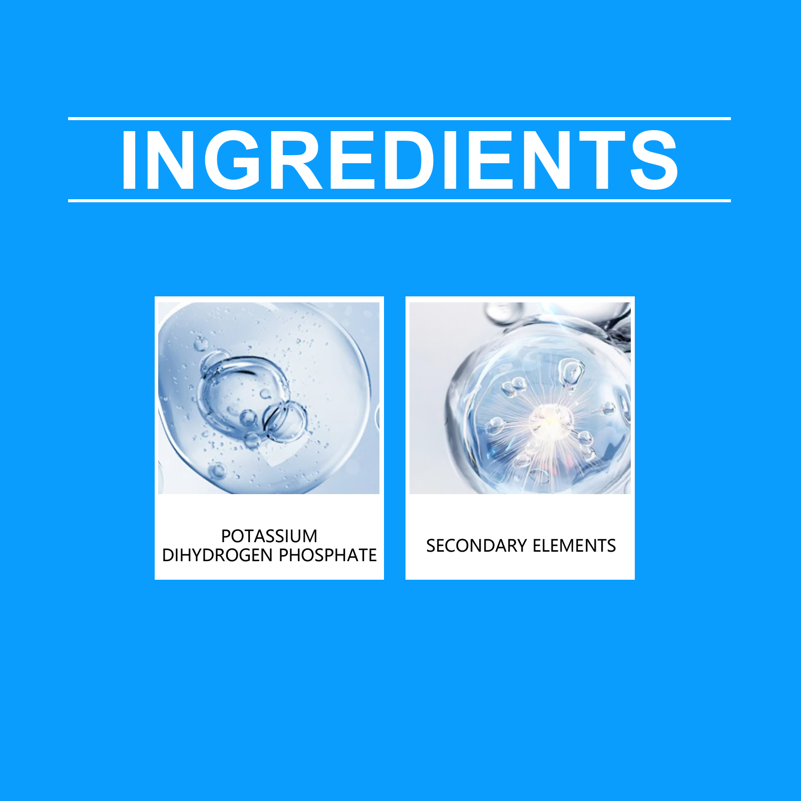 Flower Nutrient Solution Liqui - Nutrition & Fitness Hub 评论和价格